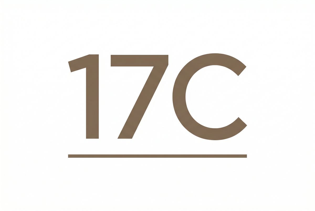 17C品牌Logo - www.kqqjrnb.cn